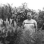 z historie Hlavňova