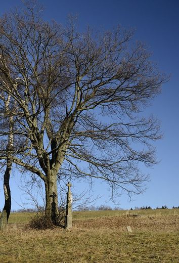 Křížek nad Hlavňovem